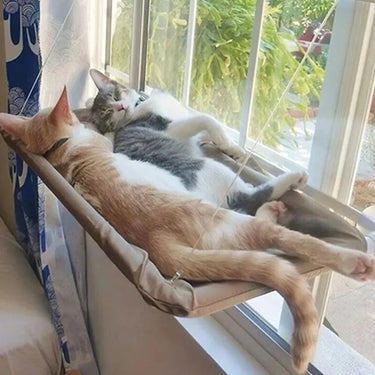 Dog Heaven™ Window Hammock